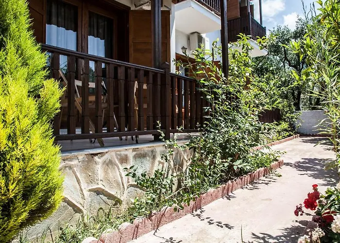 Iliahtides بلاك كالا