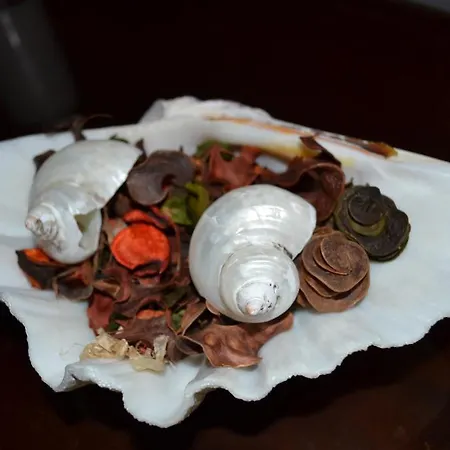 Apartmán Iliachtides Kala Nera